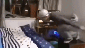 女老师在家直播涉黄被封，被网课逼疯的中国老师们....