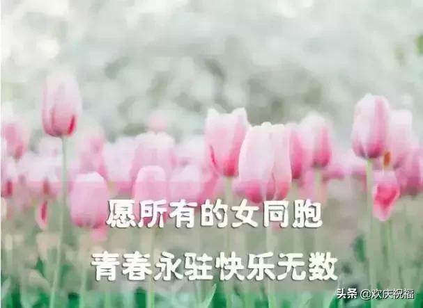 女人节!问候!送给天下所有的女人