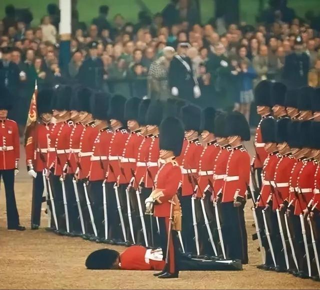 罕见的41张照片,巴西超模,戴安娜,如同枯枝一般的竹节虫,睢鸠