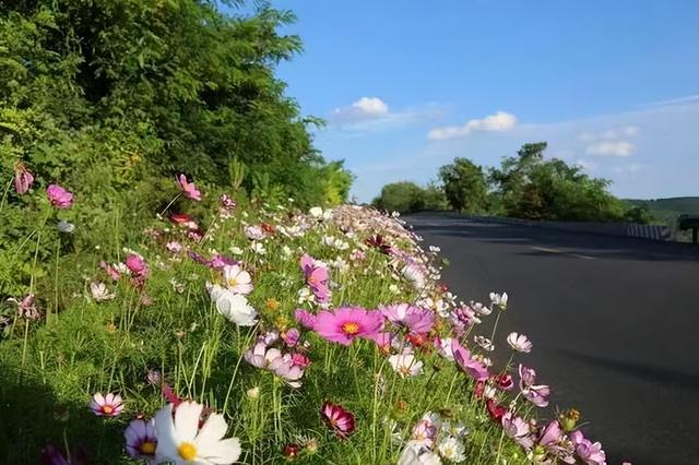 三观震碎!女子发万字长文哭诉:中山大学教授是伪君子,玩弄感情