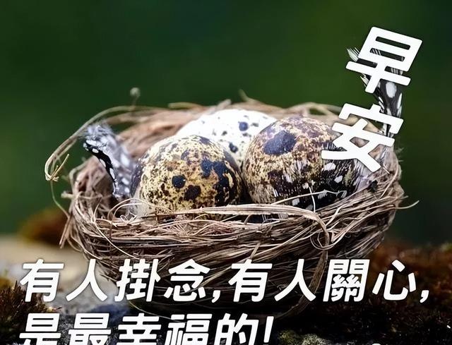 漂亮的早上好图片祝福语表情包带字 祝你幸福又平安