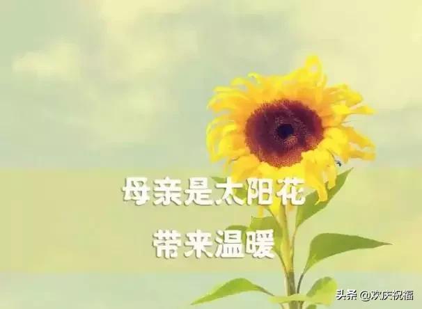 女人节!问候!送给天下所有的女人