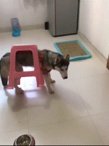 姑娘在大街玩喷水，忽然发现被人看见了，有点不好意思哈哈哈