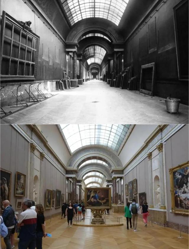 罕见的41张照片,巴西超模,戴安娜,如同枯枝一般的竹节虫,睢鸠