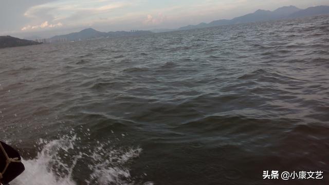 榕树下戴墨镜的青年