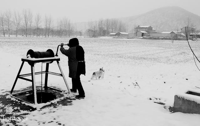 辘轳女人井和狗