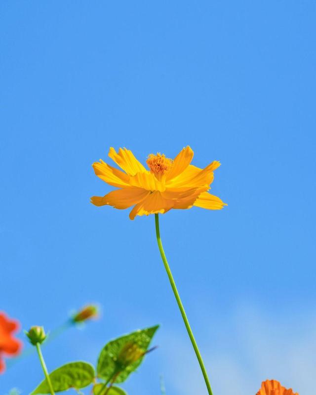 适合女生发朋友圈的简短唯美说说,发朋友圈人人点赞!