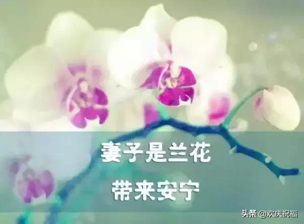 女人节!问候!送给天下所有的女人