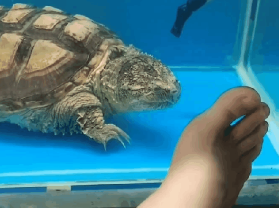 姑娘在大街玩喷水，忽然发现被人看见了，有点不好意思哈哈哈