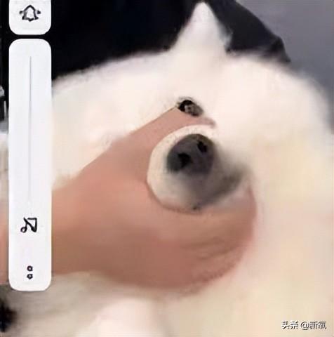 路拍被质疑体脂太低像树皮?可她这身材却成为万千少女的理想型…