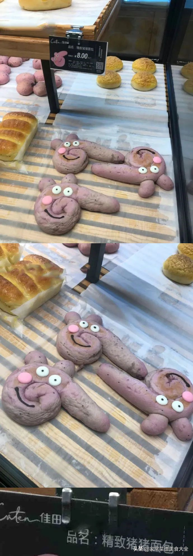 一个普通女孩的自我介绍