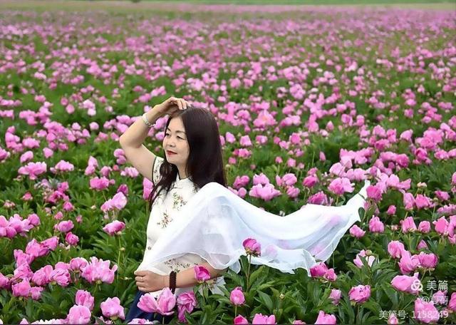 现代诗(女人如花)