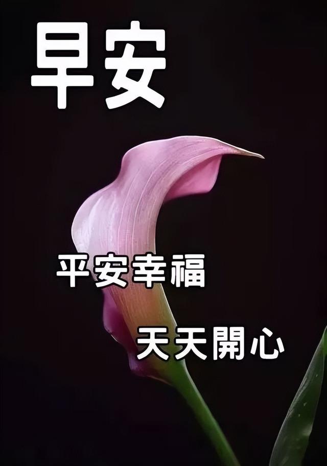 漂亮的早上好图片祝福语表情包带字 祝你幸福又平安