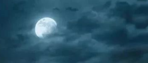 “快扶我起来吧！”小区后山每晚传来女声求救！真相竟是…