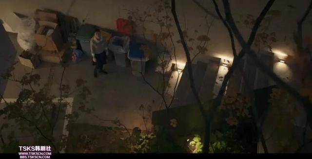 人畜无害的清纯美女,正在悄悄变“坏”?这就叫做真正的蛇竭美人