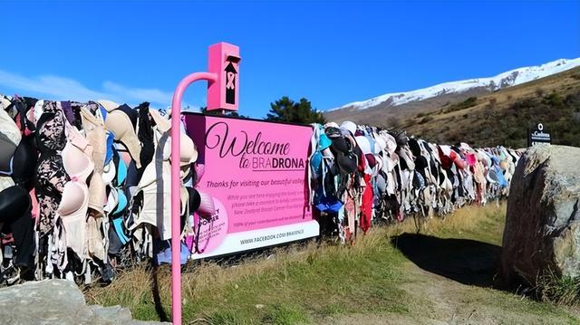 新西兰“内衣墙”:女性到这自愿脱掉内衣,当地男性却请求拆除