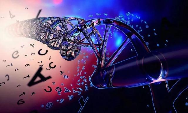 心理学：为什么男生都很喜欢肉肉的女生？