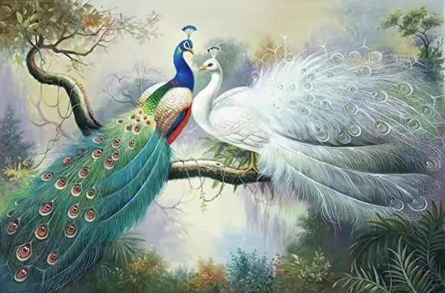 杨丽萍孔雀舞惹争议!男女胸部紧贴一起来回乱蹭,网友直呼辣眼睛