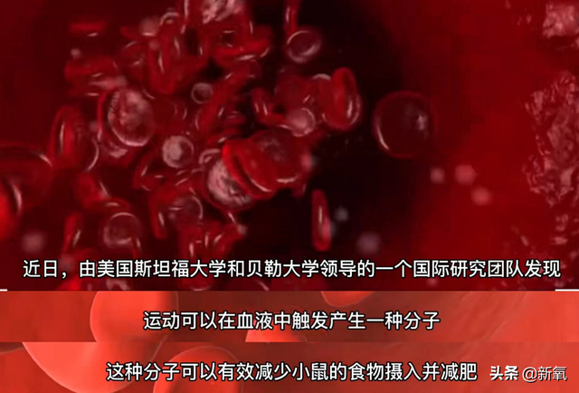 路拍被质疑体脂太低像树皮?可她这身材却成为万千少女的理想型…