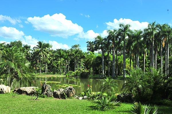 词汇积累apply用法详解