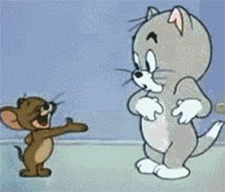 短视频如何截取生成GIF？干货分享，大神手把手教你制作GIF动图