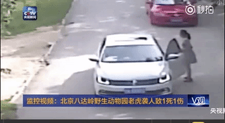 “八达岭老虎咬人事件”5年后，幸存的女人现在怎样了？