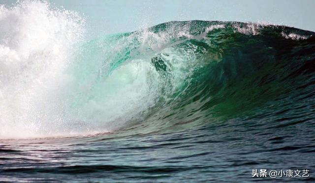 榕树下戴墨镜的青年