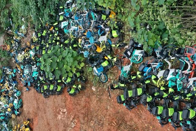 “快扶我起来吧！”小区后山每晚传来女声求救！真相竟是…