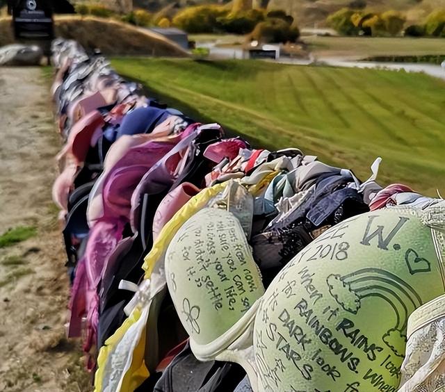 新西兰“内衣墙”:女性到这自愿脱掉内衣,当地男性却请求拆除