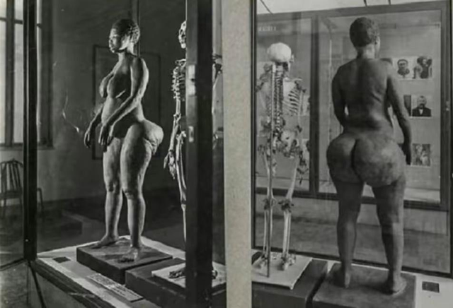 只因臀大，她生前被鞭笞，被凌辱，甚至被做成标本展览200余年