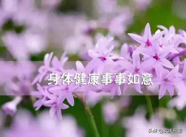 女人节!问候!送给天下所有的女人