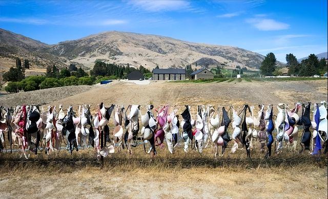 新西兰“内衣墙”:女性到这自愿脱掉内衣,当地男性却请求拆除