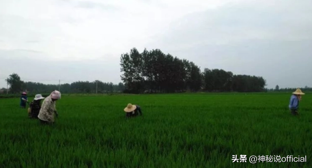 05年河南“窝囊虎”吕德彬,遭妻子家暴虐待,捉奸在床直接杀妻