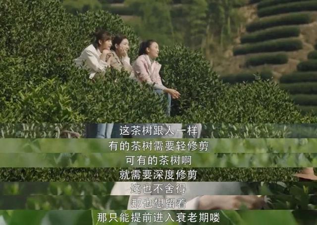 余生很贵,和懂你的人在一起