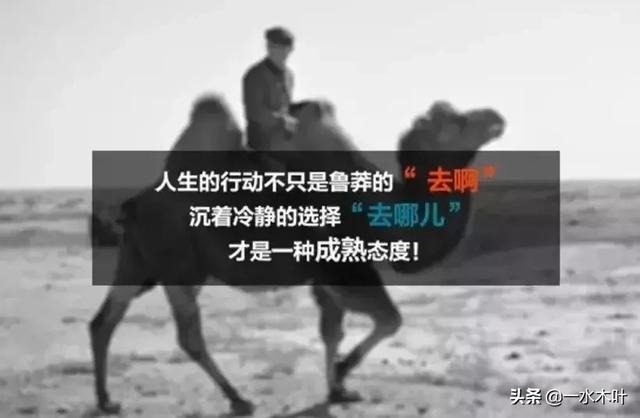 品牌撕逼广告案例合集