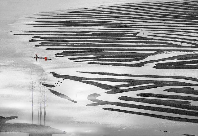 各大网文站点介绍与适合新人签约模式