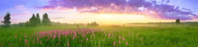 胎梦和未来宝宝有关联?这背后还真有科学道理