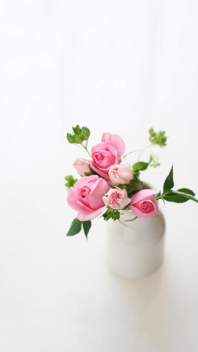 平凡的生活，只要坚持，也会有春天，也会在春天里开出一朵小花