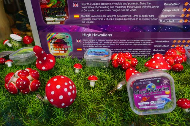 暴走阿姆斯特丹,看“百无禁忌”的“性都”到底是个什么样?