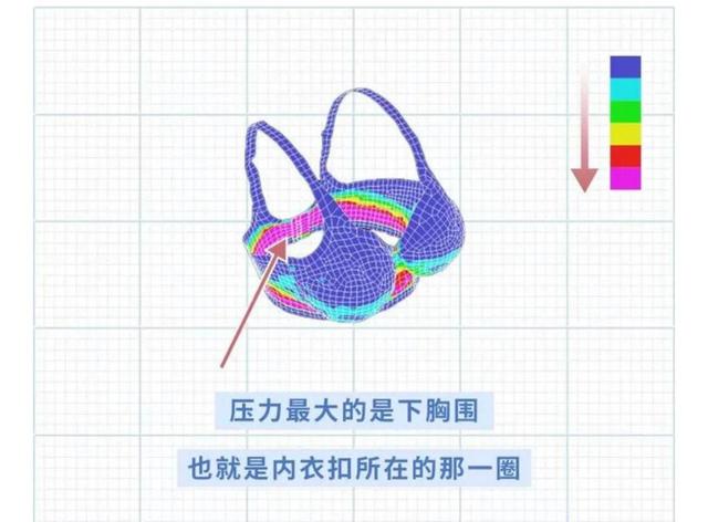 关于女生胸部的冷知识，你都知道吗？（第三集）