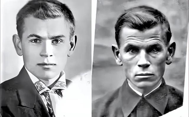 罕见的41张照片,巴西超模,戴安娜,如同枯枝一般的竹节虫,睢鸠