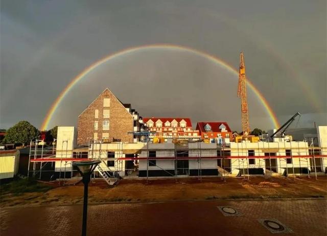 罕见的41张照片,巴西超模,戴安娜,如同枯枝一般的竹节虫,睢鸠