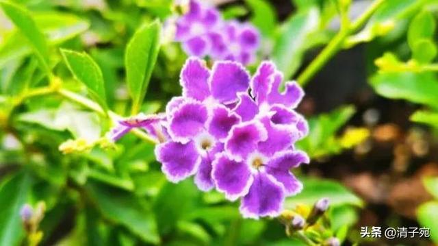 怎样和女生聊天才能引起女生的兴趣