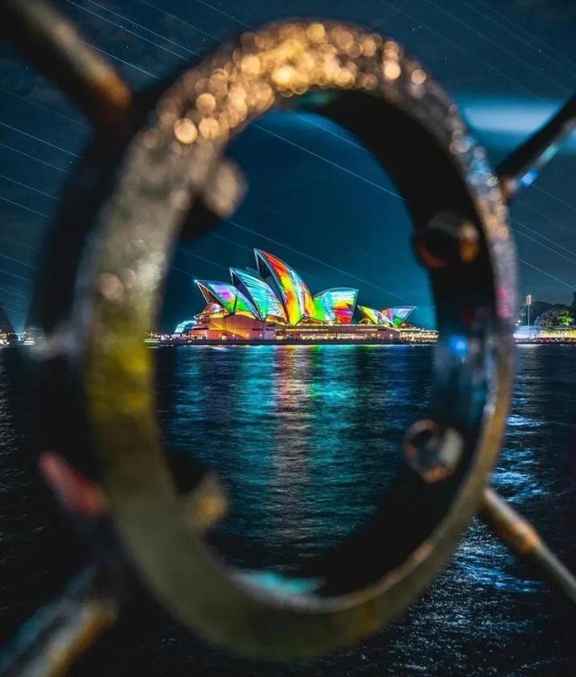 罕见的41张照片,巴西超模,戴安娜,如同枯枝一般的竹节虫,睢鸠