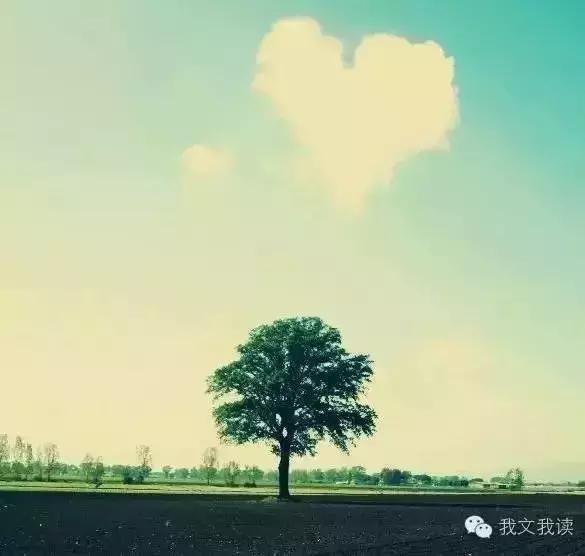 女儿国国王朱琳朗诵《致橡树》，人美声音更美