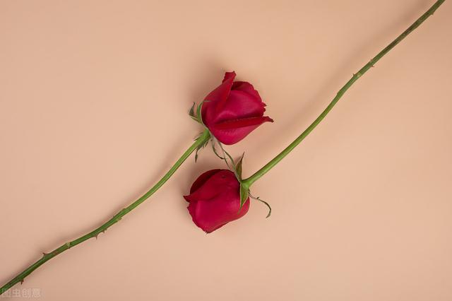 各大网文站点介绍与适合新人签约模式