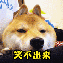 女老师在家直播涉黄被封，被网课逼疯的中国老师们....