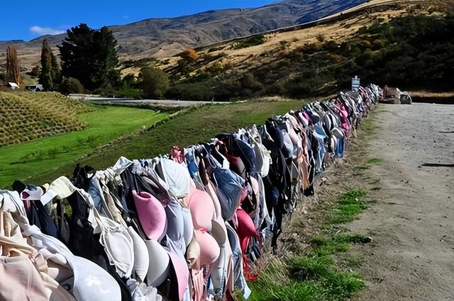 新西兰“内衣墙”:女性到这自愿脱掉内衣,当地男性却请求拆除