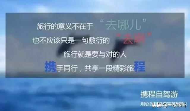 品牌撕逼广告案例合集