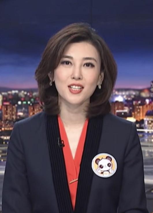 央视10大美女主持人,个个才貌双全,董卿知性,海霞端庄